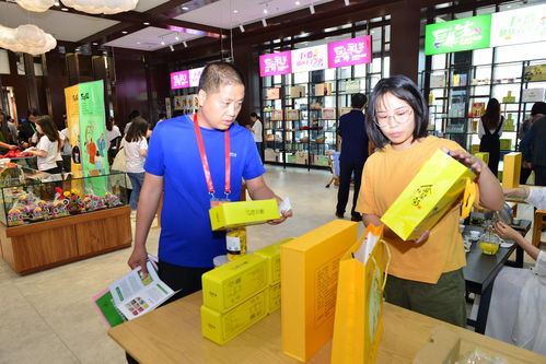 巨鹿新章 禮儀服務(wù)助力第二屆旅發(fā)大會(huì)，繪就全域旅游新畫卷